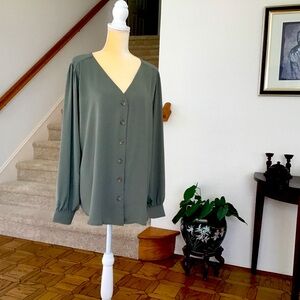 Long Sleeve V-Neck Blouse (NEW)